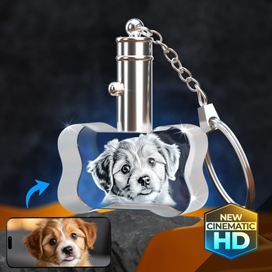 2D Crystal Dog Bone Keychain main product photo