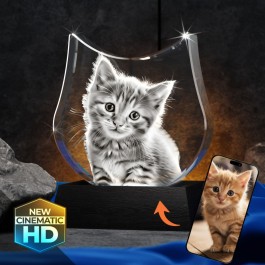 3D Crystal Large Cat 