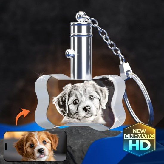 2D Crystal Dog Bone Keychain