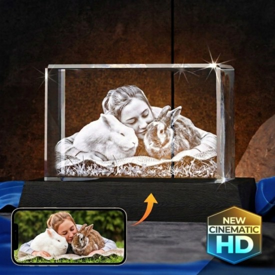 3D Crystal Rectangle Wide — personalized 3D crystal gift in Tallahassee