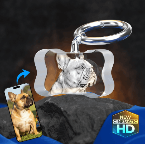 3D Crystal Dog Bone Tag 