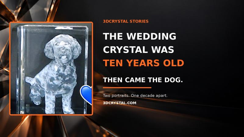 The Wedding Crystal Was Ten Years Old. Then Came the Dog.